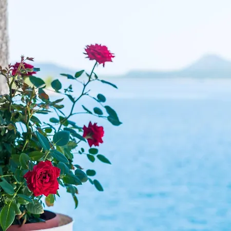 Apartman Melany - Studio With Shared Terrace And Sea View Slano
